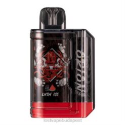 Lost Vape Budapest | buja jég Lost Vape Orion bár eldobható | 7500 puff | 18 ml | 50 mg 662P55