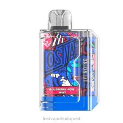 Lost Vape Hungary | kávézó mokka Lost Vape Orion bár eldobható | 7500 puff | 18 ml | 50 mg 662P73
